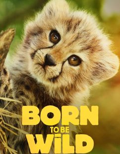 شاهد اونلاين مسلسل Born to be Wild الموسم الاول الحلقة 3 مترجمة