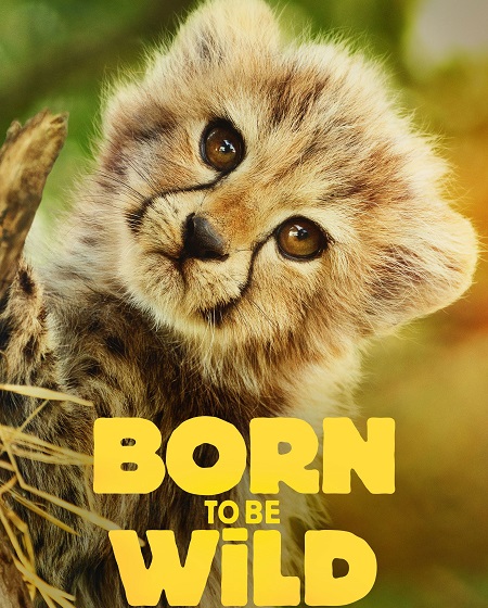 شاهد اونلاين مسلسل Born to be Wild الموسم الاول الحلقة 3 مترجمة