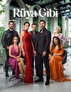 شاهد اونلاين مسلسل مثل الحلم الحلقة 3 مترجمة