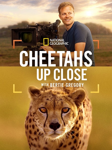 مشاهدة شاهد اونلاين فيلم Cheetahs Up Close with Bertie Gregory 2026 مترجم