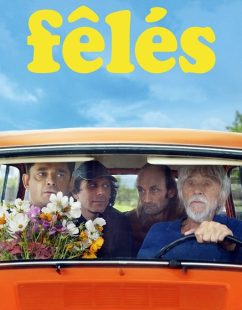 مشاهدة شاهد اونلاين فيلم Feles 2024 مترجم