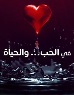 شاهد اونلاين مسلسل في الحب والحياة الحلقة 7