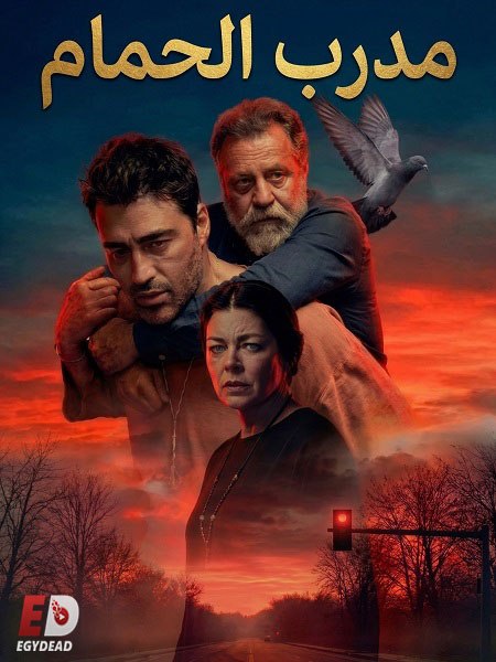 الشاهد اونلاين فيلم التركي مدرب الحمام 2026 مدبلج