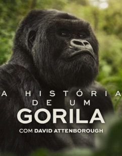 مشاهدة شاهد اونلاين فيلم A Gorilla Story Told by David Attenborough 2026 مترجم