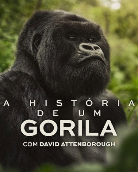 مشاهدة شاهد اونلاين فيلم A Gorilla Story Told by David Attenborough 2026 مترجم